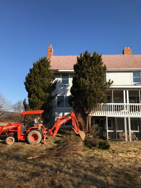 The warm weather last week gave volunteers a chance to work on the house, both inside and outside. Trees were removed, cabinets were painted, and work