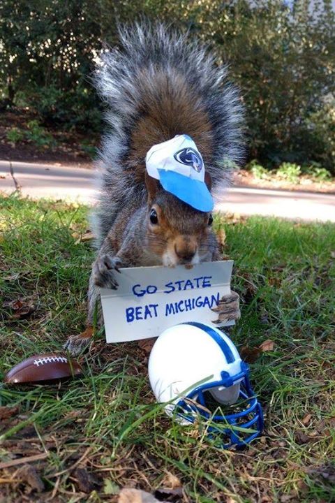 Sneezy The Penn State Squirrel