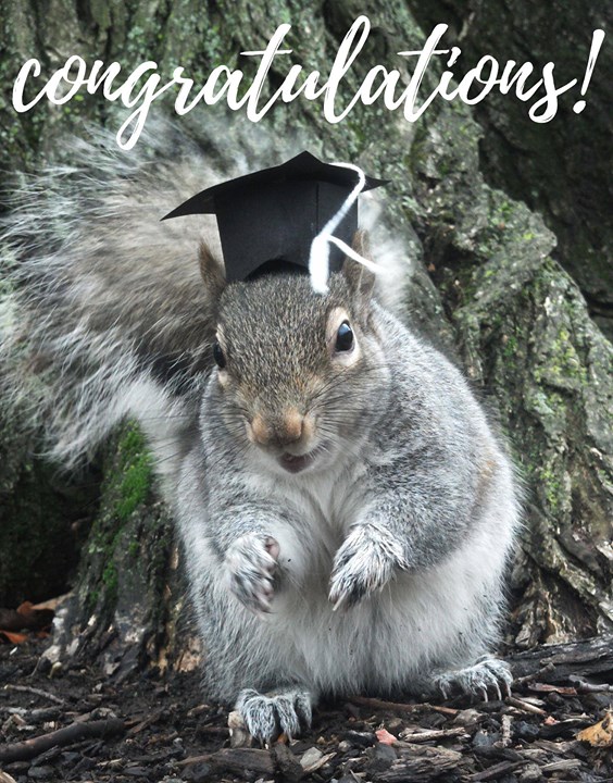 Congratulations to all past and present ACRES interns and staff who are graduating today! 
